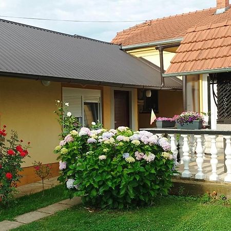 Dobrodosli Daire Mursko Sredisce Dış mekan fotoğraf